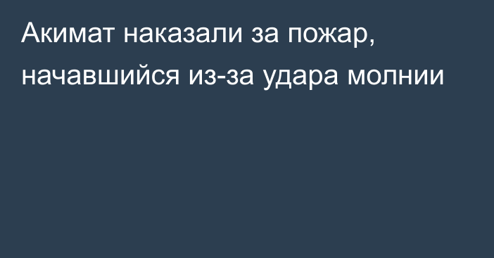 Акимат наказали за пожар, начавшийся из-за удара молнии