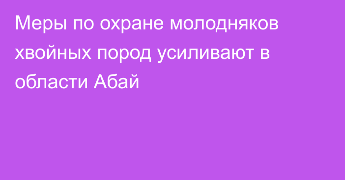 Меры по охране молодняков хвойных пород усиливают в области Абай