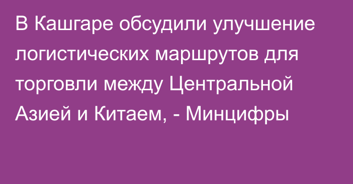 В Кашгаре обсудили улучшение логистических маршрутов для торговли между Центральной Азией и Китаем, - Минцифры