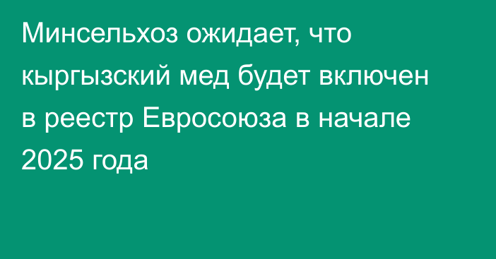 Минсельхоз ожидает, что кыргызский мед будет включен в реестр Евросоюза в начале 2025 года