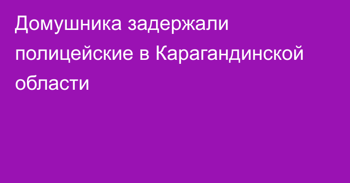 Домушника задержали полицейские в Карагандинской области