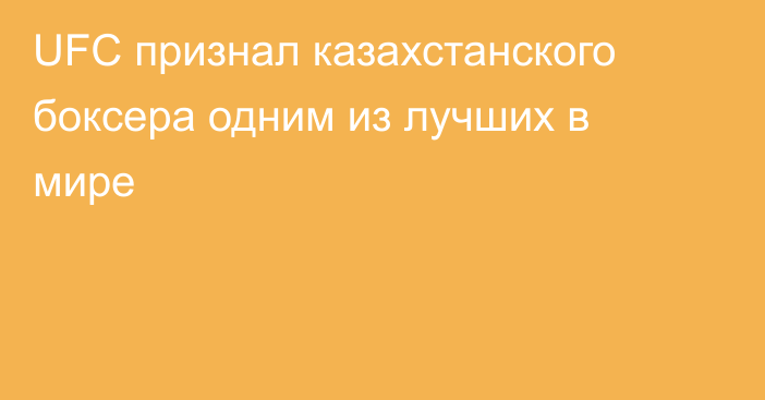 UFC признал казахстанского боксера одним из лучших в мире