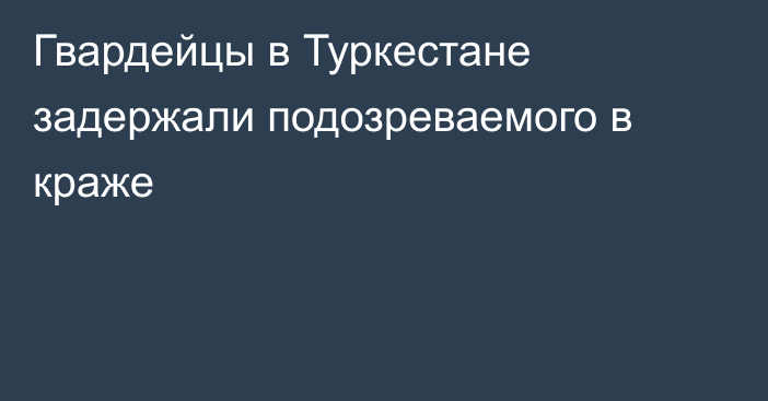 Гвардейцы в Туркестане задержали подозреваемого в краже