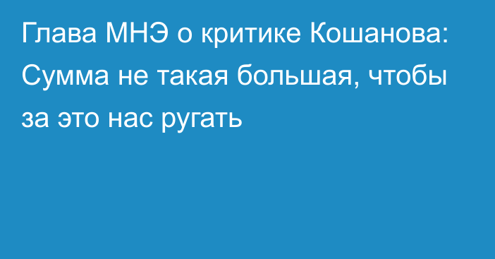 Глава МНЭ о критике Кошанова: Сумма не такая большая, чтобы за это нас ругать