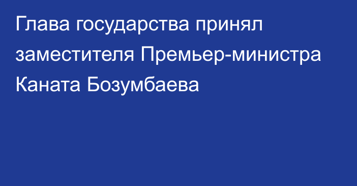 Глава государства принял заместителя Премьер-министра Каната Бозумбаева 