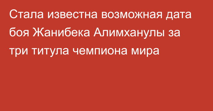 Стала известна возможная дата боя Жанибека Алимханулы за три титула чемпиона мира