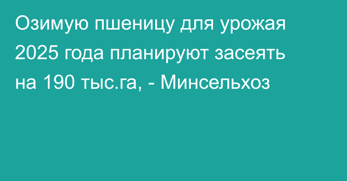 Озимую пшеницу для урожая 2025 года планируют засеять на 190 тыс.га, - Минсельхоз