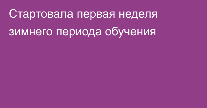 Стартовала первая неделя зимнего периода обучения