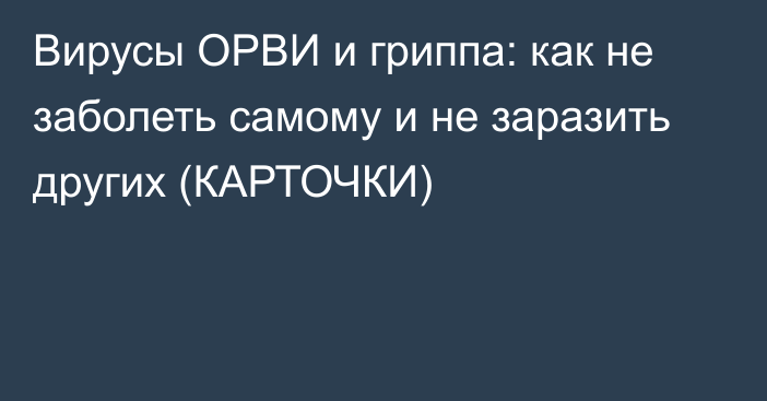 Вирусы ОРВИ и гриппа: как не заболеть самому и не заразить других (КАРТОЧКИ)