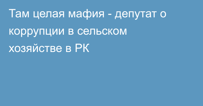 Там целая мафия - депутат о коррупции в сельском хозяйстве в РК