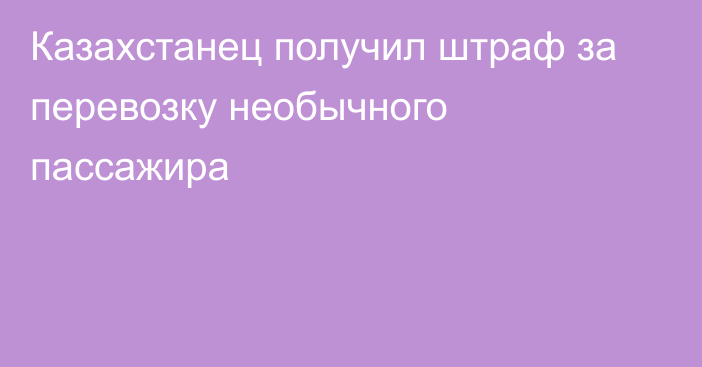 Казахстанец получил штраф за перевозку необычного пассажира