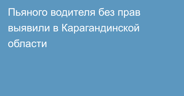 Пьяного водителя без прав выявили в Карагандинской области