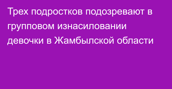 Трех подростков подозревают в групповом изнасиловании девочки в Жамбылской области