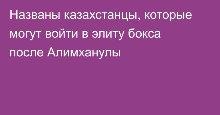 Названы казахстанцы, которые могут войти в элиту бокса после Алимханулы