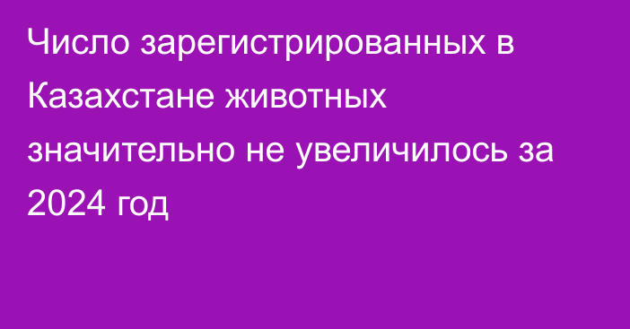 Число зарегистрированных в Казахстане животных значительно не увеличилось за 2024 год