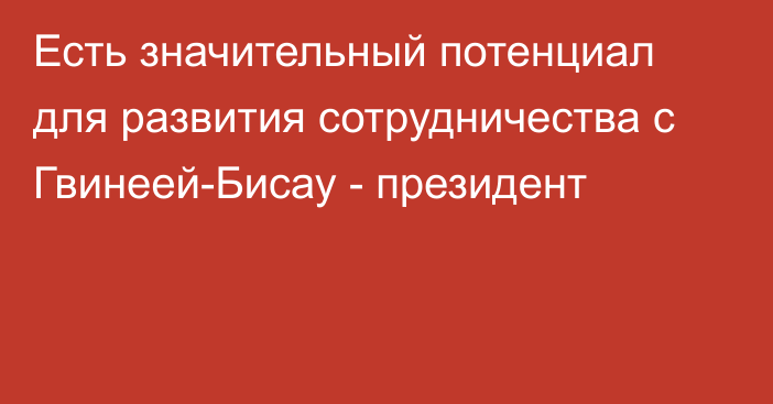 Есть значительный потенциал для развития сотрудничества с Гвинеей-Бисау - президент