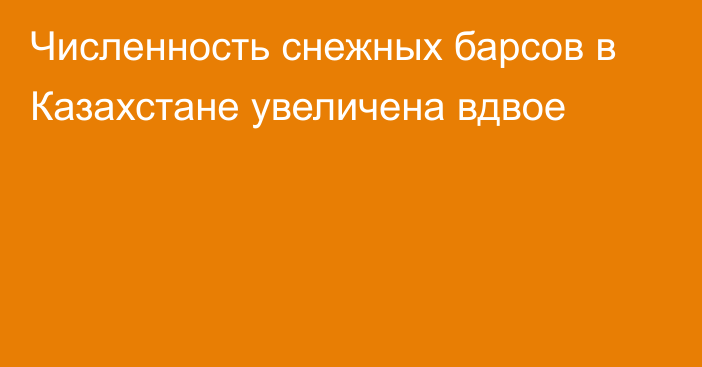 Численность снежных барсов в Казахстане увеличена вдвое