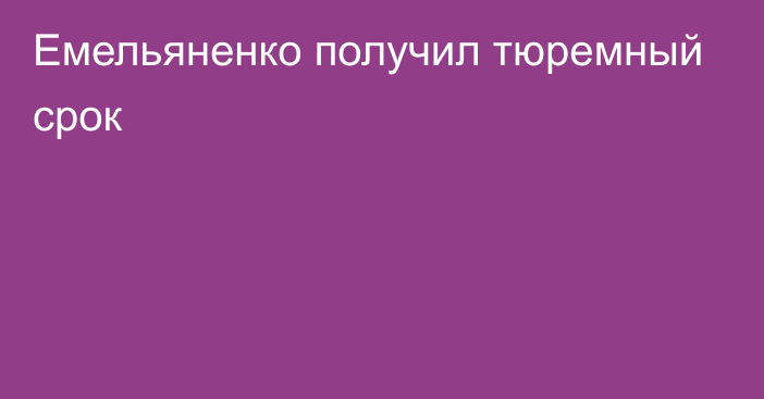 Емельяненко получил тюремный срок