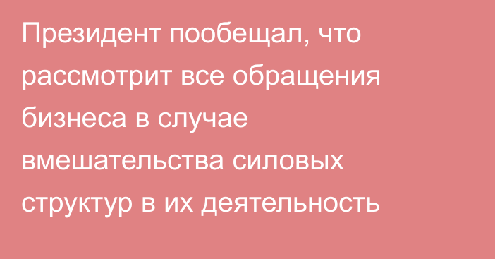 Президент пообещал, что рассмотрит все обращения бизнеса в случае вмешательства силовых структур в их деятельность