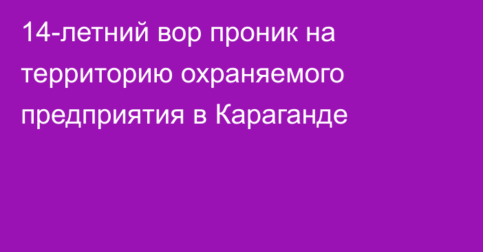 14-летний вор проник на территорию охраняемого предприятия в Караганде