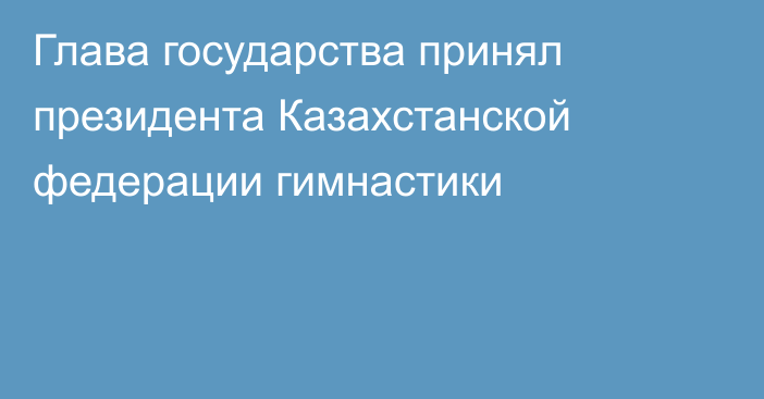 Глава государства принял президента Казахстанской федерации гимнастики