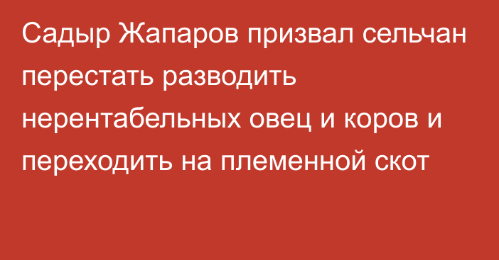 Садыр Жапаров призвал сельчан перестать разводить нерентабельных овец и коров и переходить на племенной скот