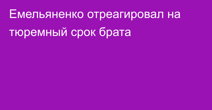 Емельяненко отреагировал на тюремный срок брата