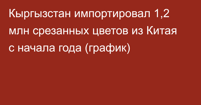 Кыргызстан импортировал 1,2 млн срезанных цветов из Китая с начала года (график)