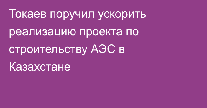 Токаев поручил ускорить реализацию проекта по строительству АЭС в Казахстане