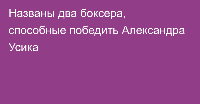 Названы два боксера, способные победить Александра Усика