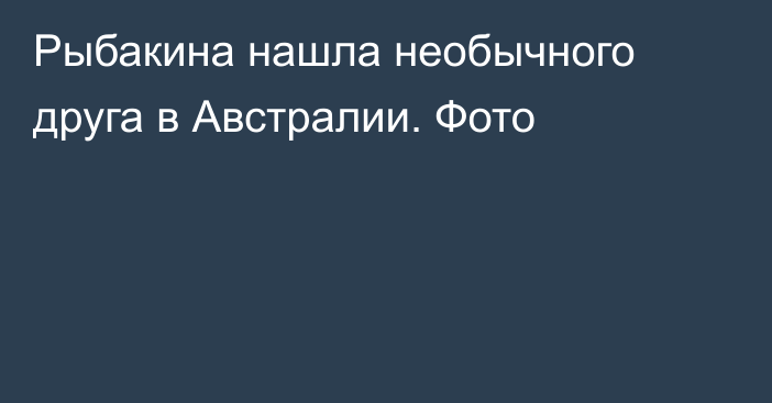 Рыбакина нашла необычного друга в Австралии. Фото