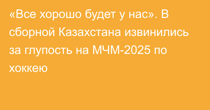 «Все хорошо будет у нас». В сборной Казахстана извинились за глупость на МЧМ-2025 по хоккею