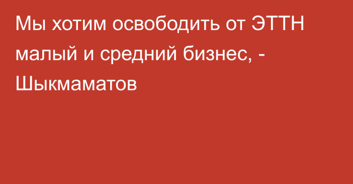 Мы хотим освободить от ЭТТН малый и средний бизнес, - Шыкмаматов 