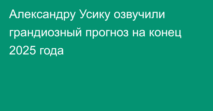 Александру Усику озвучили грандиозный прогноз на конец 2025 года