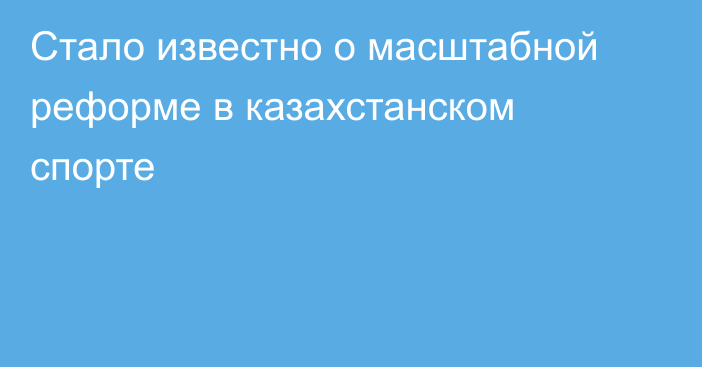 Стало известно о масштабной реформе в казахстанском спорте