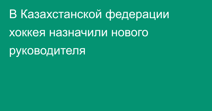 В Казахстанской федерации хоккея назначили нового руководителя