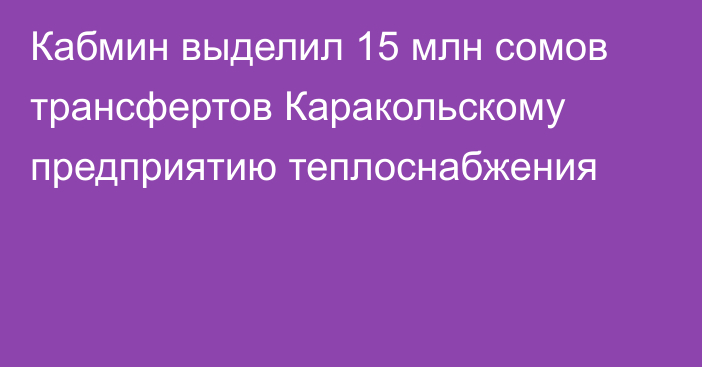 Кабмин выделил 15 млн сомов трансфертов Каракольскому предприятию теплоснабжения