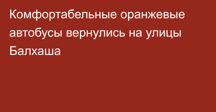 Комфортабельные оранжевые автобусы вернулись на улицы Балхаша