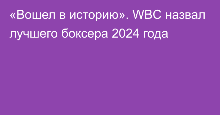 «Вошел в историю». WBC назвал лучшего боксера 2024 года