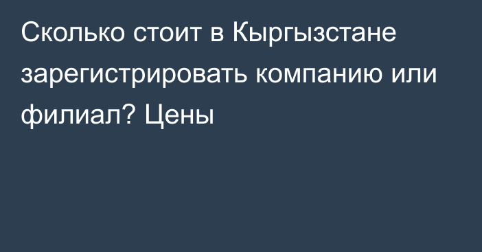 Сколько стоит в Кыргызстане зарегистрировать компанию или филиал? Цены