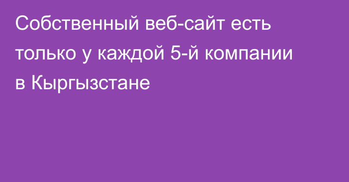 Собственный веб-сайт есть только у каждой 5-й компании в Кыргызстане