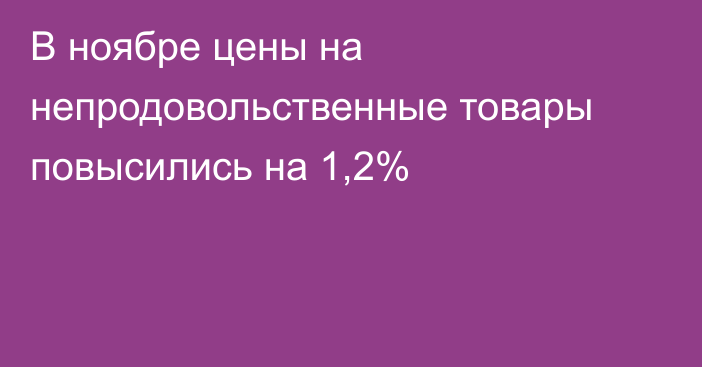 В ноябре цены на непродовольственные товары повысились на 1,2%