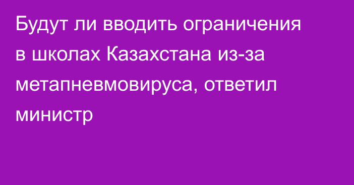 Будут ли вводить ограничения в школах Казахстана из-за метапневмовируса, ответил министр