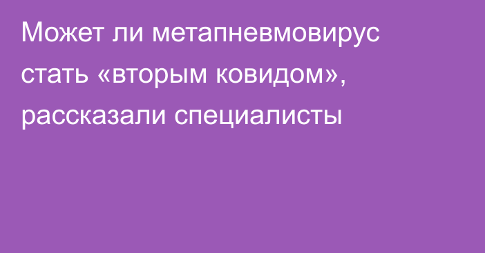 Может ли метапневмовирус стать «вторым ковидом», рассказали специалисты