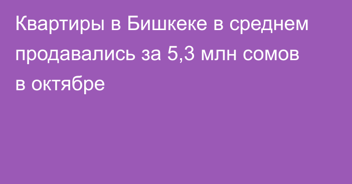 Квартиры в Бишкеке в среднем продавались за 5,3 млн сомов в октябре