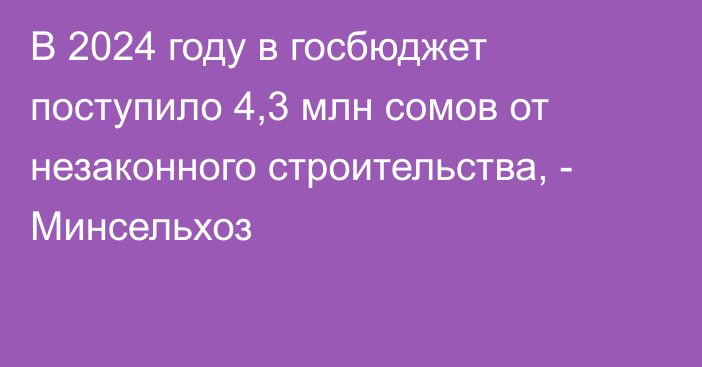 В 2024 году в госбюджет поступило 4,3 млн сомов от незаконного строительства, - Минсельхоз 