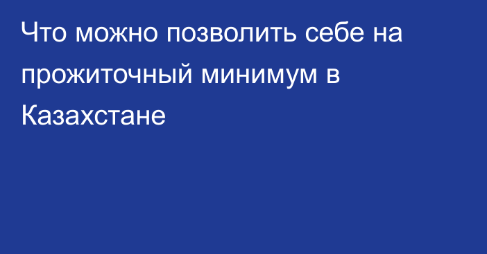 Что можно позволить себе на прожиточный минимум в Казахстане