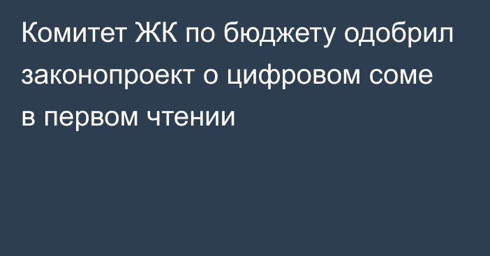 Комитет ЖК по бюджету одобрил законопроект о цифровом соме в первом чтении