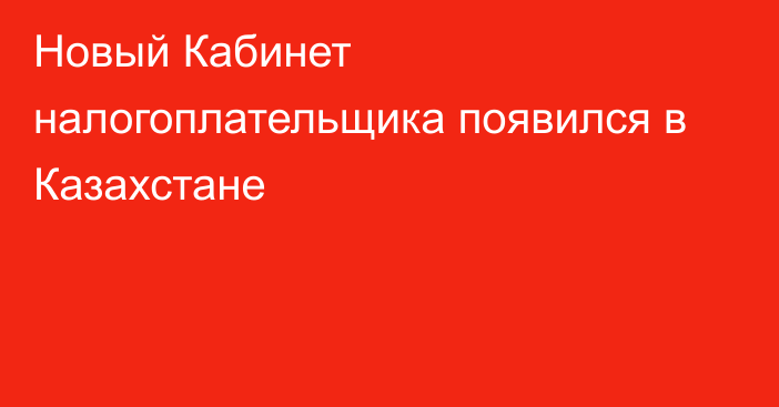 Новый Кабинет налогоплательщика появился в Казахстане