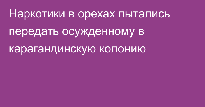 Наркотики в орехах пытались передать осужденному в карагандинскую колонию